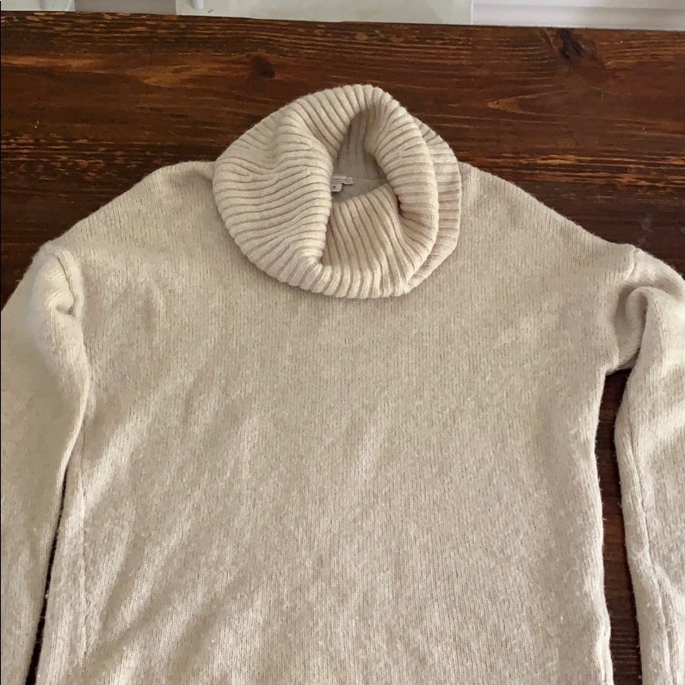 Gap Turtleneck Sweater